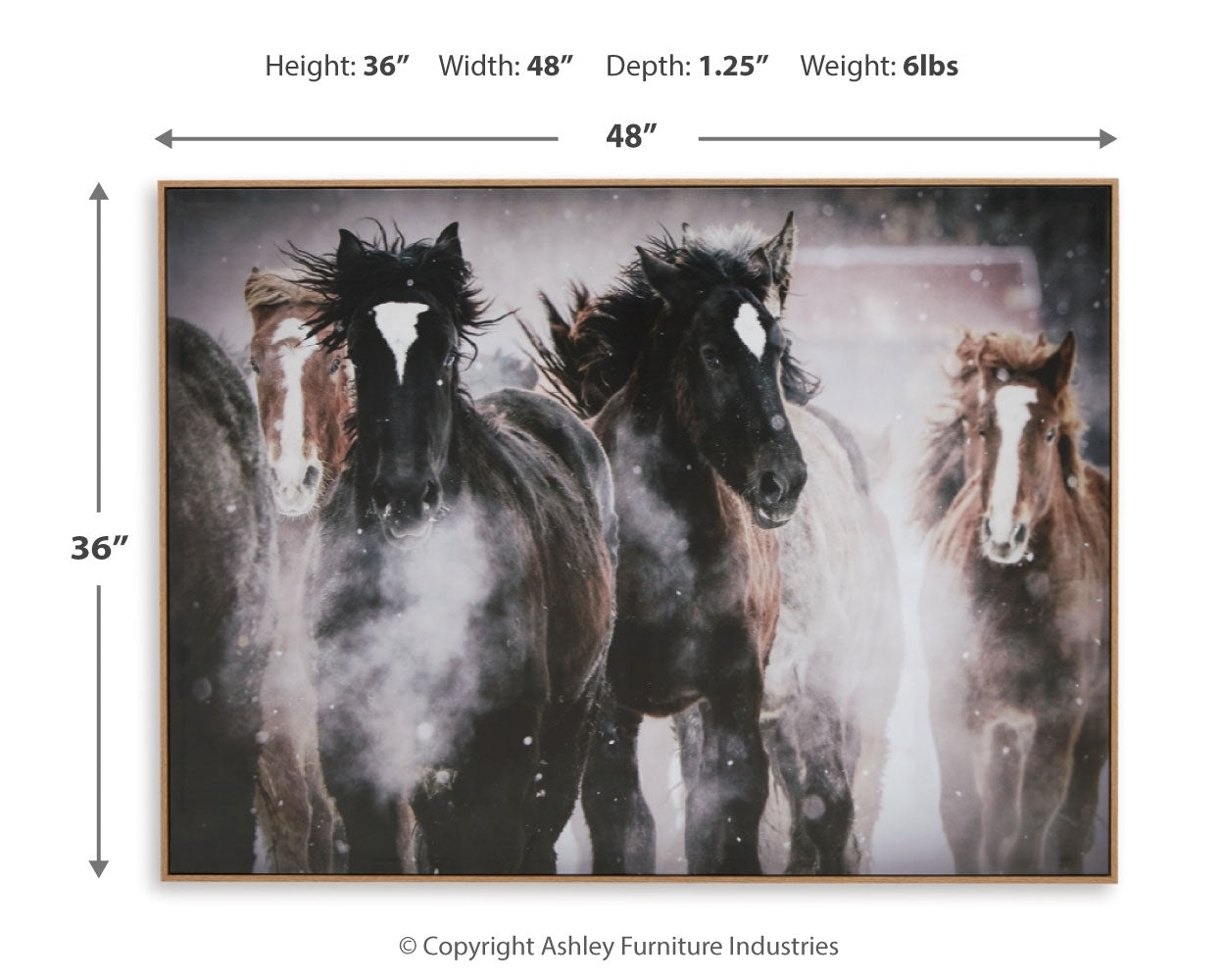 Chaseburn Wall Decor