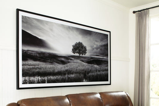 Myers Furniture Outlet - Ashley Furniture - Deborland Wall Decor - Wall Art / Black/White - A8000341