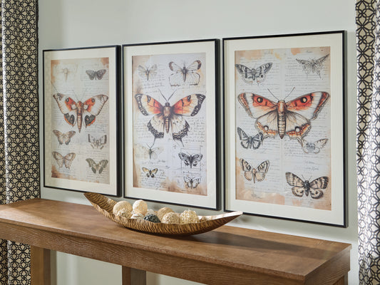 Myers Furniture Outlet - Ashley Furniture - Jossletts Wall Decor - Wall Art Set (3/CN) / Orange/Black/Ivory - A8000490