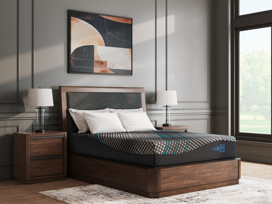 Myers Furniture Outlet - Ashley Furniture - Millennium 2.0 Foam 12 Inch Mattresses - Twin XL / Black - M31171