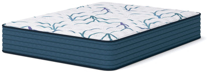 Limited Edition Firm 3.0 Mattresses