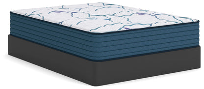 Limited Edition Firm 3.0 Mattresses
