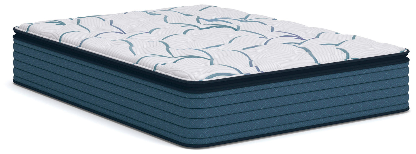 Myers Furniture Outlet - Ashley Furniture - Limited Edition Plush PT 3.0 Mattresses - Queen - M45231