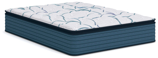 Myers Furniture Outlet - Ashley Furniture - Limited Edition Plush PT 3.0 Mattresses - Queen - M45231