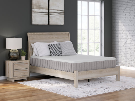 Myers Furniture Outlet - Ashley Furniture - Terra Sleep Medium Mattresses - California King / White - M52351